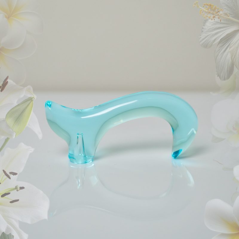 Acrylic Cane Handle (3/6)