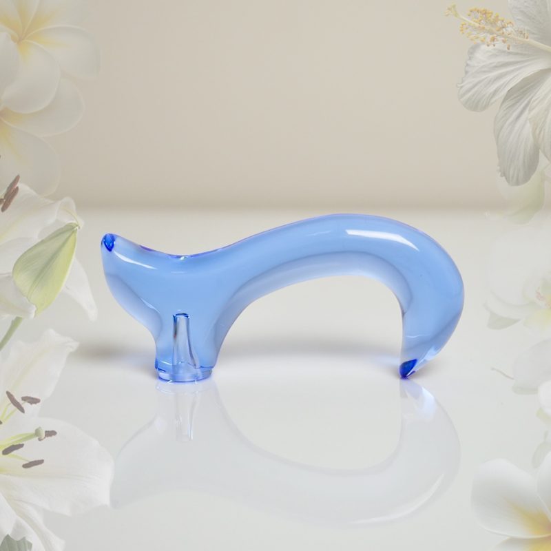 Acrylic Cane Handle (5/6)