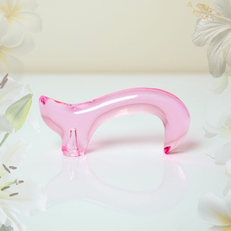 Acrylic Cane Handle (6/6)