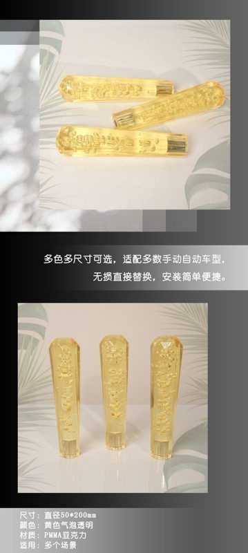 长黄中文.jpg